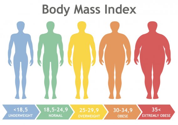 Schéma : classification de l&apos;indice de masse corporelle (IMC)