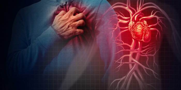 6 parties du corps qui peuvent signaler une crise cardiaque
