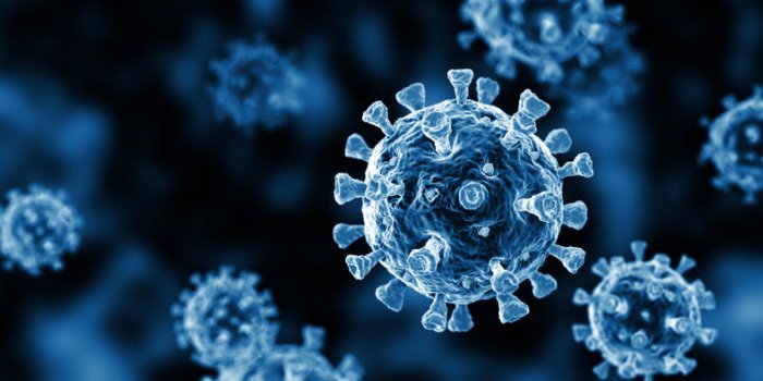 10 janvier 2020 : on parle de corornavirus