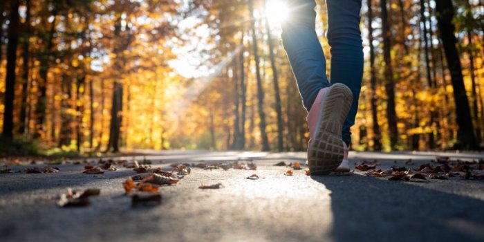 low angle view of a womans step as she walks on a road lined with beautiful colorful autumn trees with sunlight coming th...
