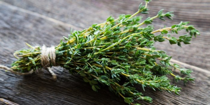 5 herbes aromatiques Ã  faire pousser chez soi (et leurs bienfaits)