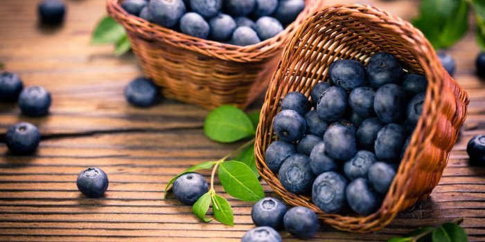 blueberries in the basket