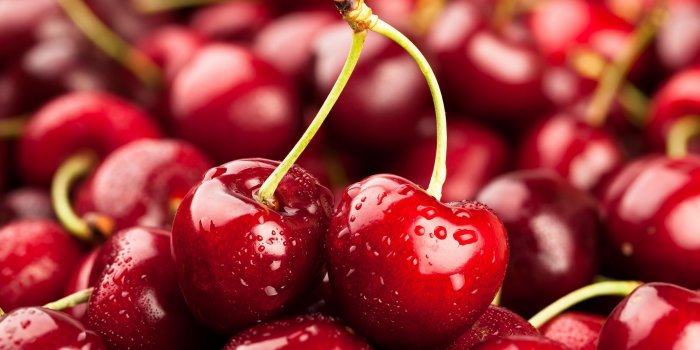 20 fruits curatifs pour le foie
