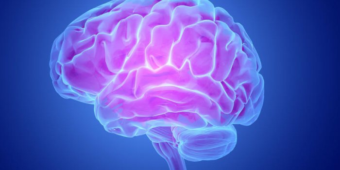 DÃ©mence : 8 conditions qui font vieillir votre cerveau de 3 ans
