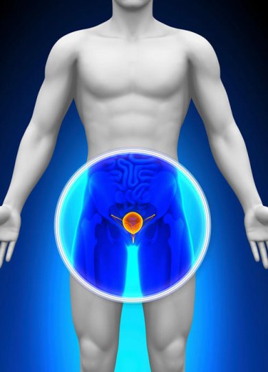 9 choses que vous ne savez pas sur la prostate