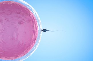 Problemes de fertilite : symptomes, causes et traitements