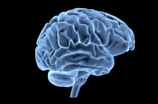 Cancer du cerveau (tumeur cerebrale) : symptomes, causes, traitements