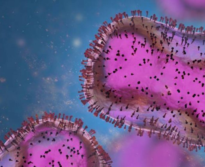Monkeypox : l’epidemie de la variole du singe ralentit en France 