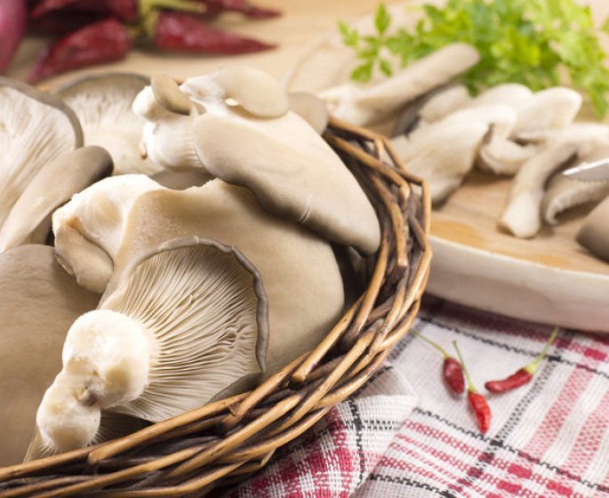 Cancer : une consommation quotidienne de champignons diminue le risque de 45 %
