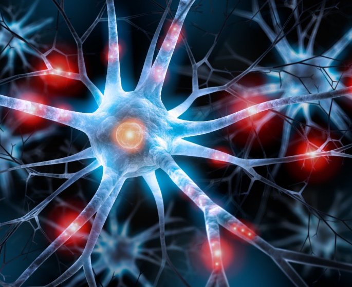 Alzheimer : ces super neurones qui conservent votre memoire