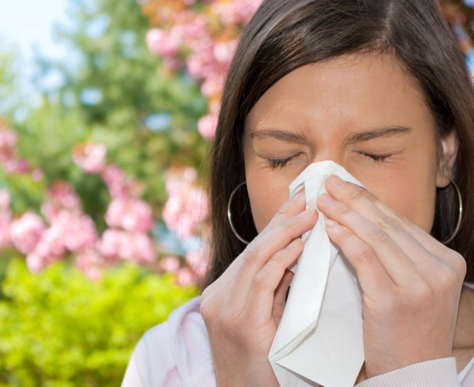 Remede naturel contre la grippe : une inhalation de niaouli