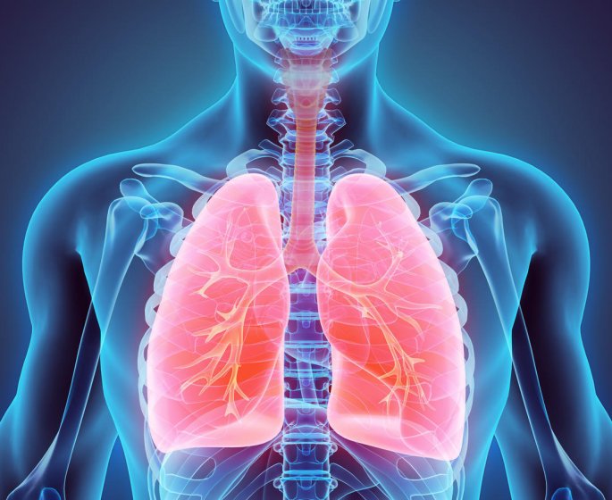 Cancer du poumon : le cancer de la plevre