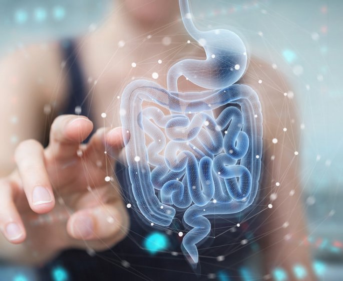 Microbiote intestinal : 10 astuces pour des intestins en bonne sante