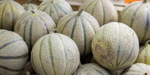 3 personnes meurent apres avoir mange du melon contamine a la listeria en Australie