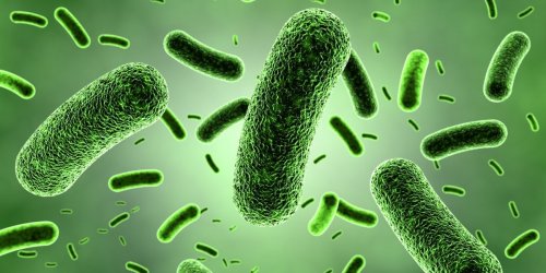 Etats-Unis : une bacterie tres dangereuse detectee pour la premiere fois