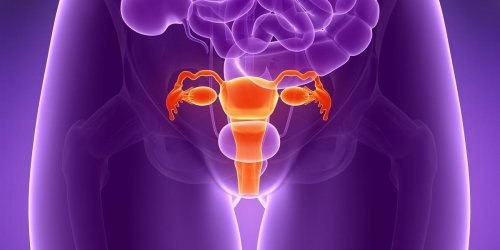 Les 9 maladies de l-uterus les plus frequentes