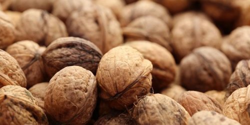 Consommer des noix reduit les recidives de cancer colorectal