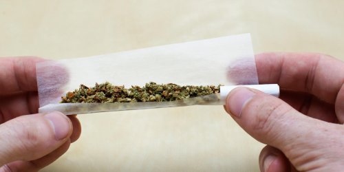 Cannabis : la consommation reguliere augmente les risques d-infarctus 