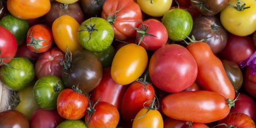 Jean-Michel Cohen : “2 tomates par jour diminuent de 20 % le risque de cancer”
