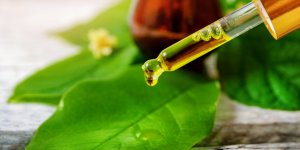 Mal de gorge : quelles huiles essentielles pour soulager ?