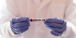Covid-19 : le sang des survivants pourrait-il vous immuniser ?