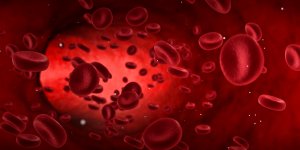 Sang rouge dans les selles : un signe de cancer de l-anus ?