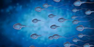  Covid-19 : le virus pourrait impacter la qualite de votre sperme