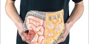 Maladie : ou se situe l-intestin grele ?