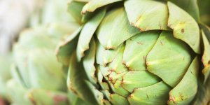 Plante anti-cholesterol : une recette a l-artichaut