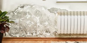7 astuces express anti humidite dans la maison