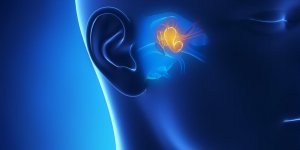 Cristaux de l’oreille interne : le principal symptome