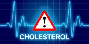 Bon et mauvais cholesterol : les chiffres cles