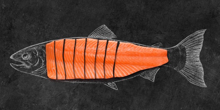 Les 5 poissons les plus riches en omega-3