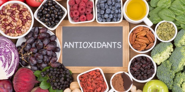 Demence : ces 6 aliments riches en antioxydants reduisent vos risques