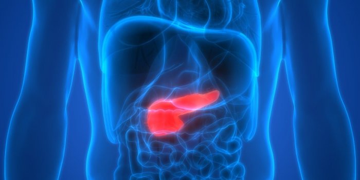 Cancer du pancreas : 5 symptomes qui doivent vous alerter apres le repas